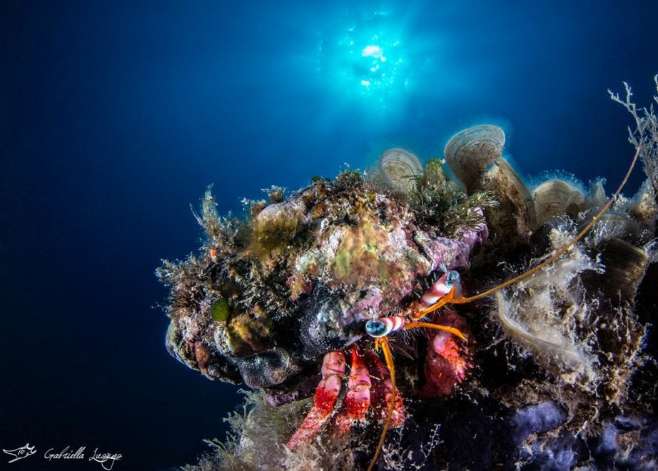 Diving Site 1